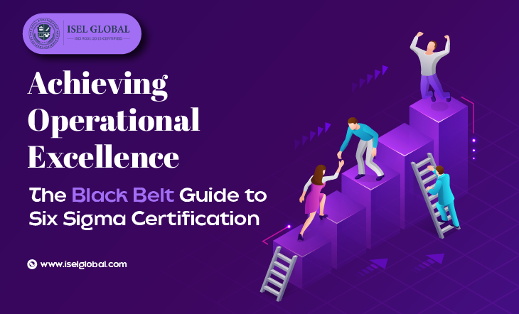 Achieving Operational Excellence: The Black Belt Guide to Six Sigma Certification
