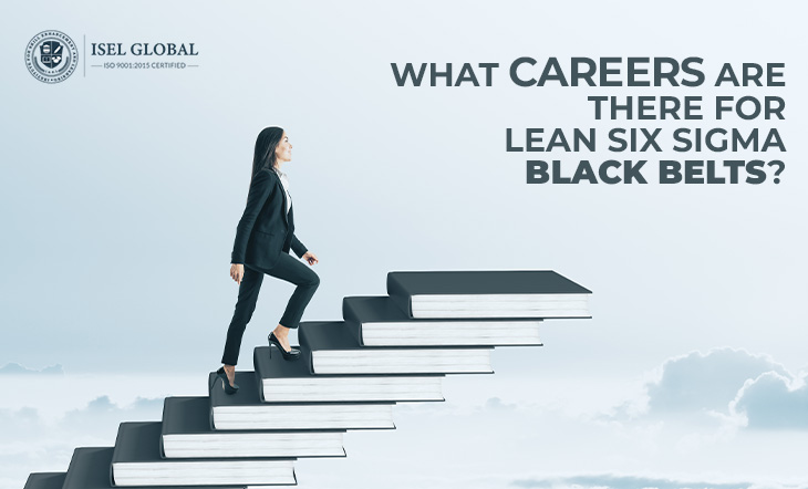 What Careers are there for Lean Six Sigma Black Belts
