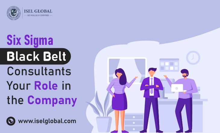 Six Sigma Black Belt Consultants Your Role in the Company